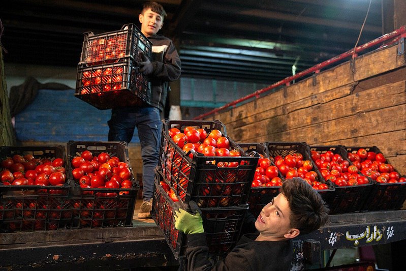 گرانی میوه بر اثر نباریدن باران